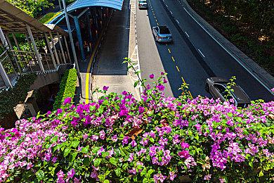 《全境封锁2》正式推出DLC“布鲁克林之战” 5月27日上线